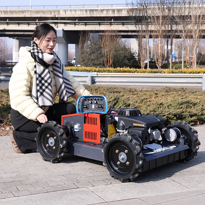 Customized Factory 500mm Diese - Hedge Trimmer Cordless review and price