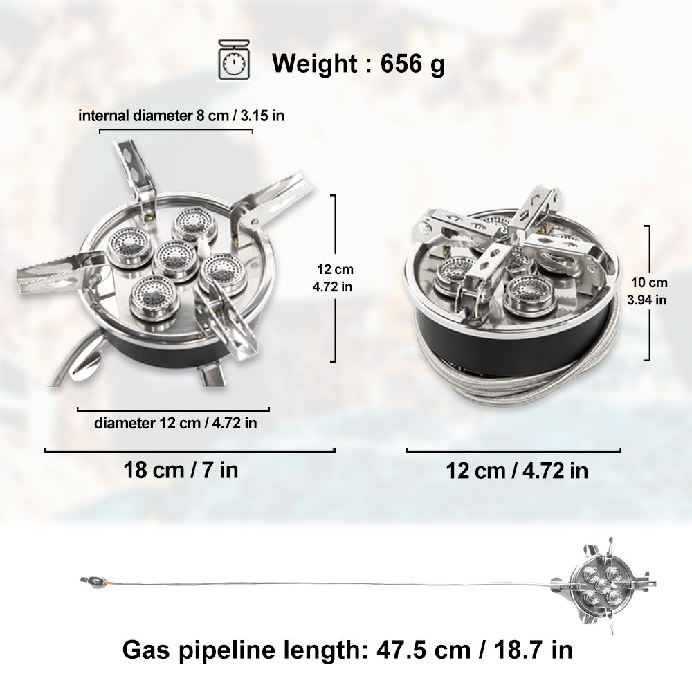 Widesea Camping 5in1 Gas Stove - Outdoor Kitchen Power Burner review and price