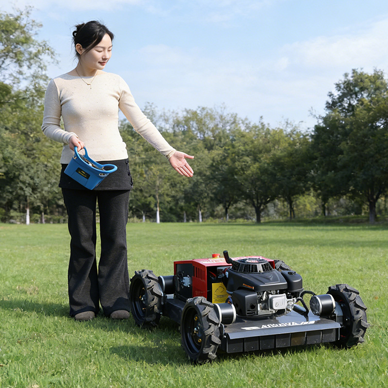 Customized all terrain four-wh - Hedge Trimmer Cordless review and price